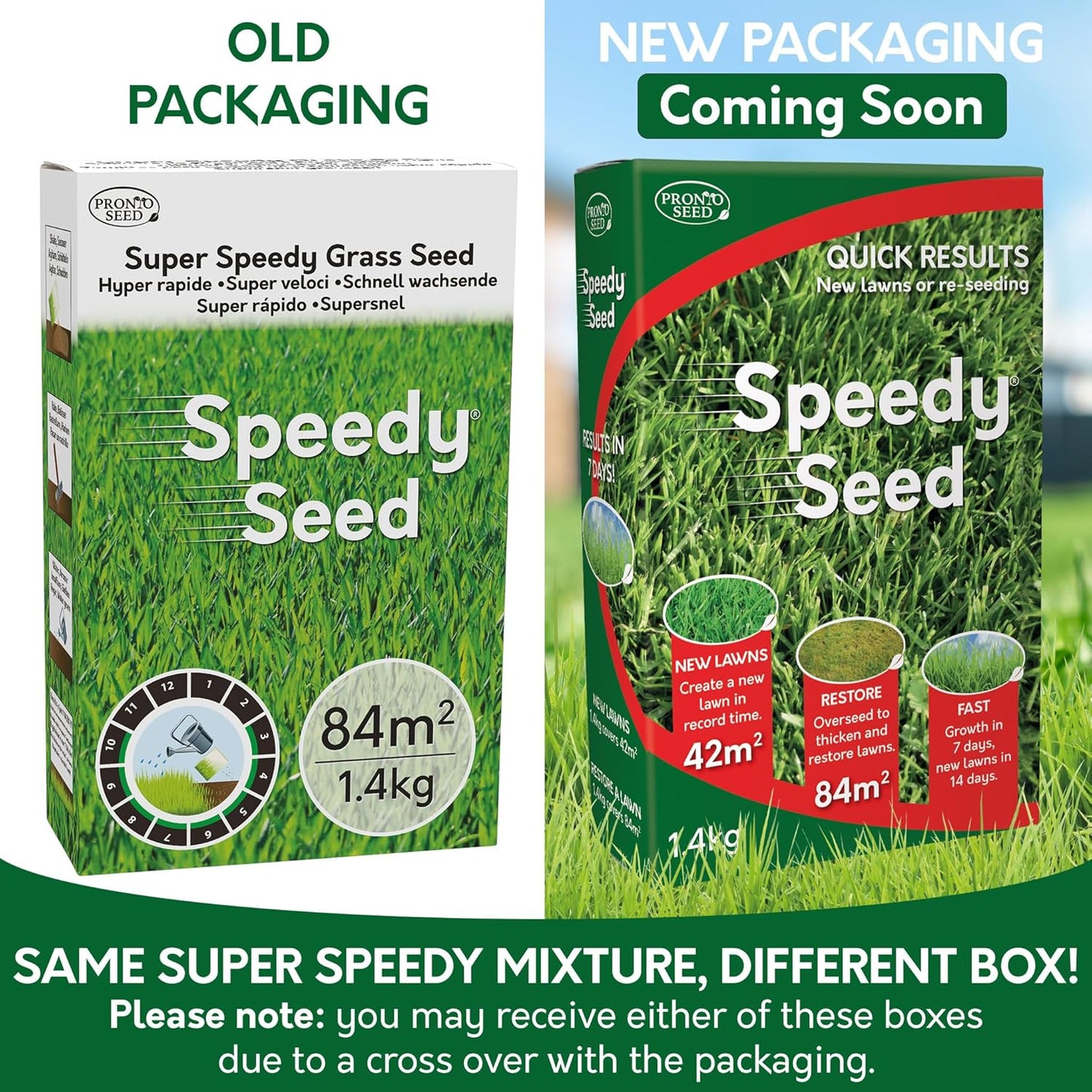 Premium Grass Seed 1.4 Kg - Fast Growing, Hard-Wearing - Covers 84M² for Lawns & Overseeding - DEFRA Approved & Tailored for UK Climate (1.4Kg)