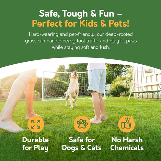 Premium Grass Seed 1.4 Kg - Fast Growing, Hard-Wearing - Covers 84M² for Lawns & Overseeding - DEFRA Approved & Tailored for UK Climate (1.4Kg)