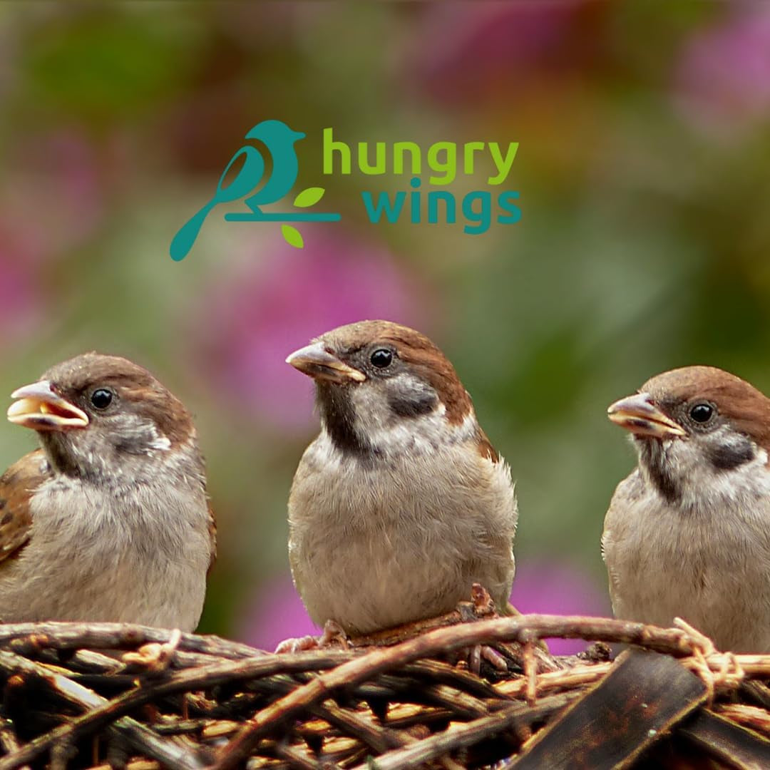 Premium Wild Bird Food 5L Refill, (5L Bag, Sunflower Hearts)