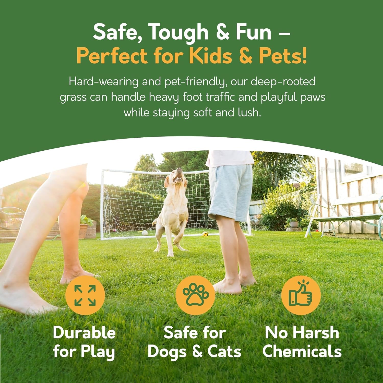 Premium Grass Seed 1.4 Kg - Fast Growing, Hard-Wearing - Covers 84M² for Lawns & Overseeding - DEFRA Approved & Tailored for UK Climate (1.4Kg)