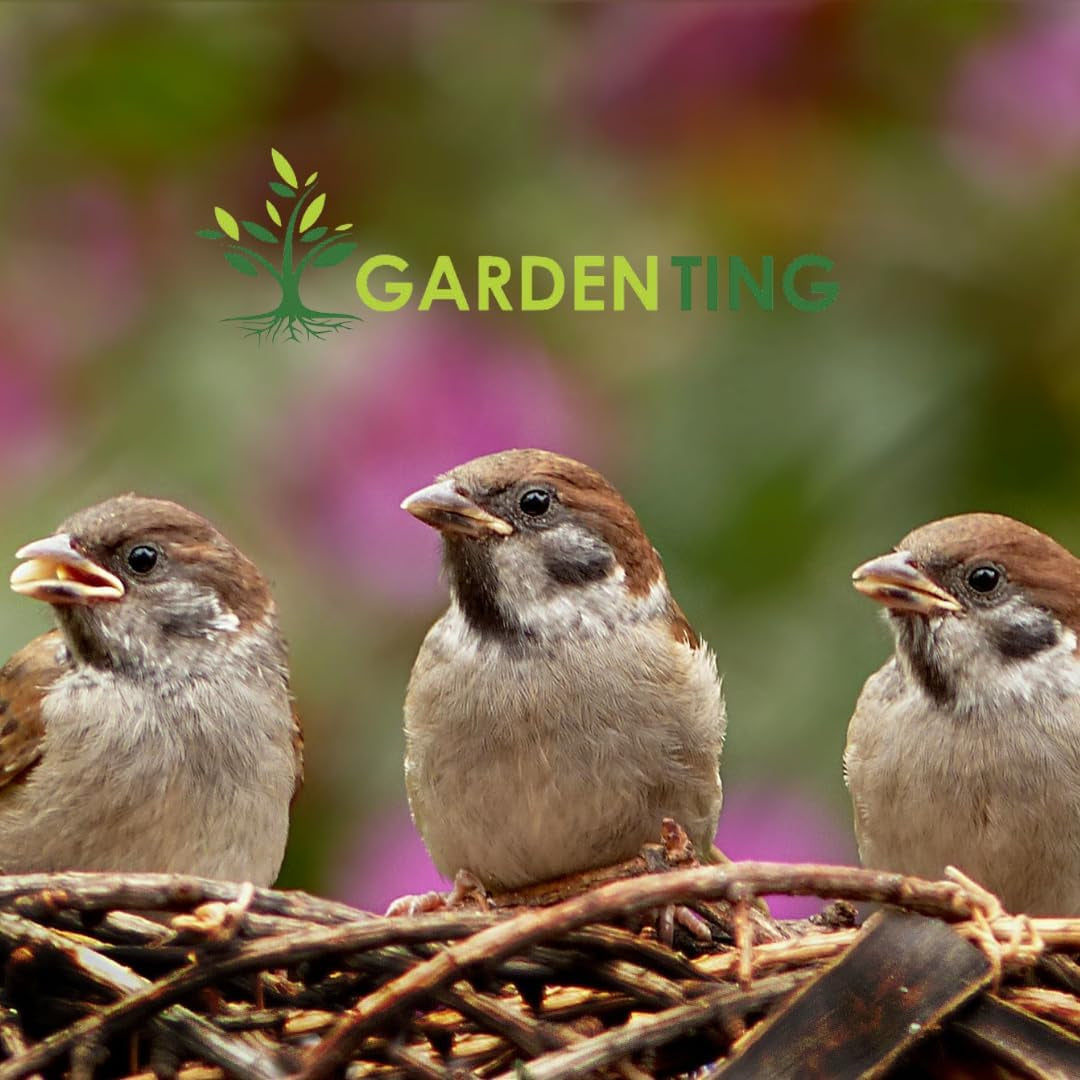 Peanuts Wild Bird Food Tub, 5 Litre