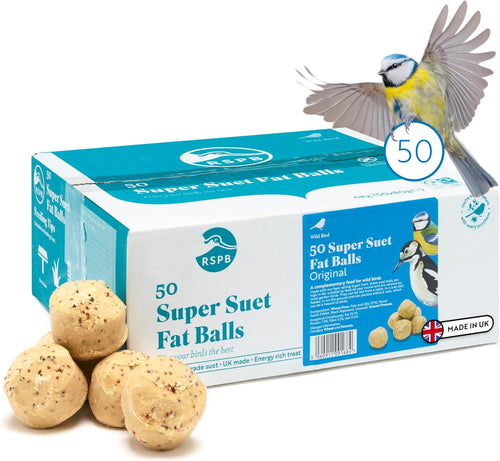 - Fat Balls for Wild Birds, High Energy Suet Balls, Made in the UK, Delicious and Nutritious Bird Food, Suitable for Year-Round Feeding (Box of 50)