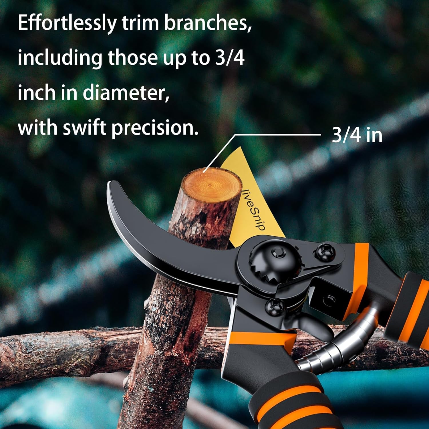 Premium Titanium Garden Secateurs - Professional Bypass Pruning Shears for Plants, Hedges, and Flowers