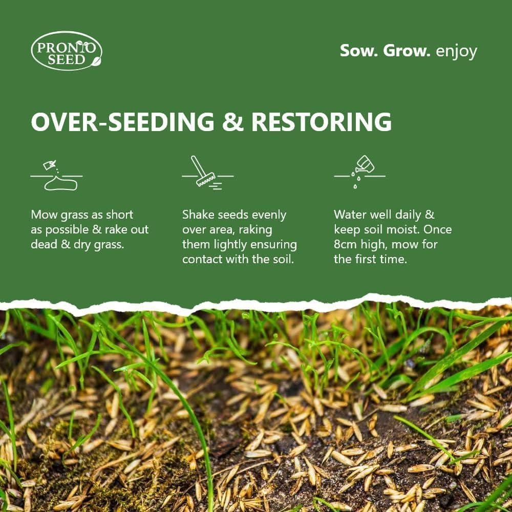 Premium Grass Seed 1.4 Kg - Fast Growing, Hard-Wearing - Covers 84M² for Lawns & Overseeding - DEFRA Approved & Tailored for UK Climate (1.4Kg)