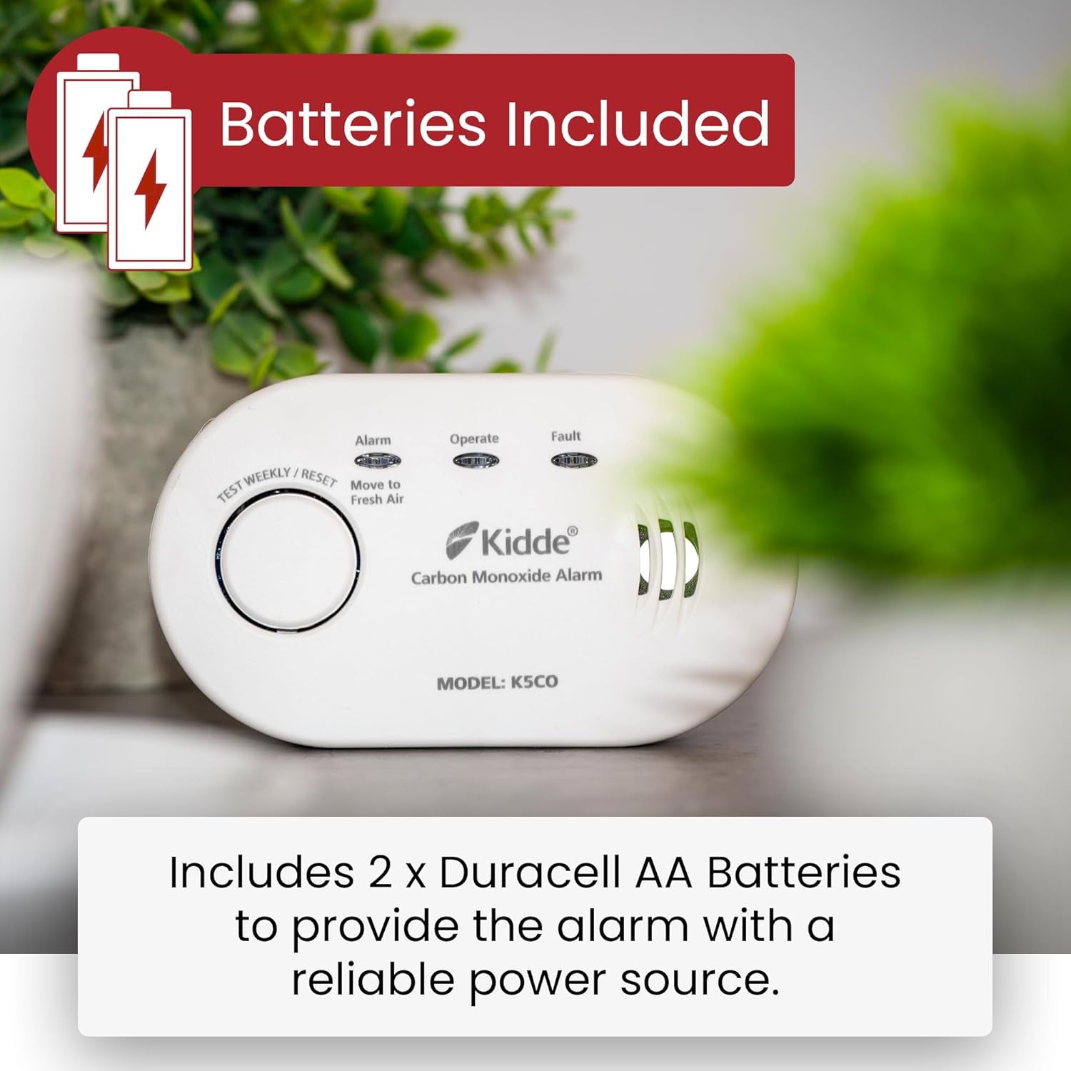 5CO Carbon Monoxide Alarm and Detector with AA Batteries - 10 Year Sensor Life CO Alarm for Home
