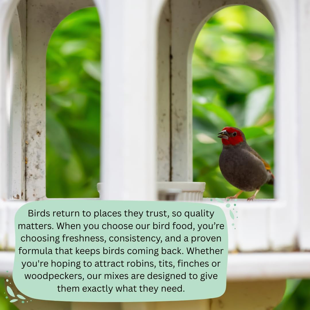 Peanuts Wild Bird Food Tub, 5 Litre