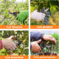 Premium Titanium Garden Secateurs - Professional Bypass Pruning Shears for Plants, Hedges, and Flowers