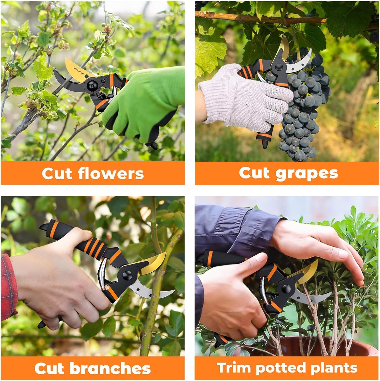 Premium Titanium Garden Secateurs - Professional Bypass Pruning Shears for Plants, Hedges, and Flowers