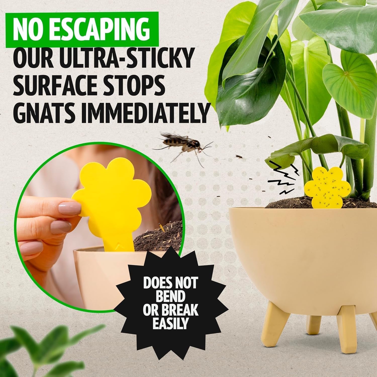 Fungus Gnat Killer - 30 Pack, Effective Gnat Killer for Indoor Plants, Non-Toxic & Nature-Friendly, Safe for Kids & Pets Yellow Sticky Fly Traps, Lasts up to 3 Months