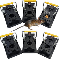 6 X Mouse Trap, 6 Pack Heavy Duty Reusable Snap Traps That Kill Instantly, High Sensitive Mice Catcher UK, Safe and Effective Rodent Trap for Indoors and Outdoors, Easy Set-Up & Clean