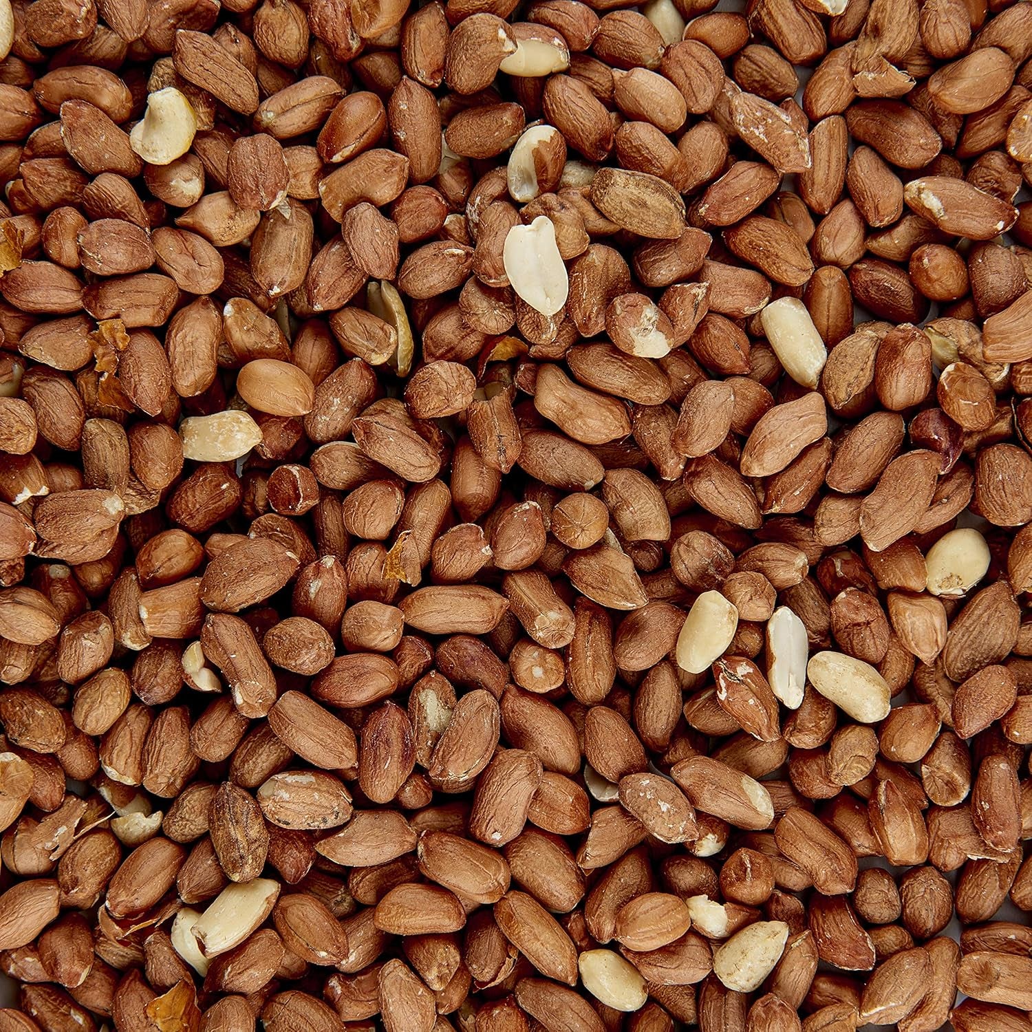 Peanuts Wild Bird Food Tub, 5 Litre