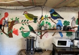 The Hybrid Zones of Bird Knowledge in Post-Conflict Colombia – Engagement