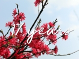 16 going on 17 – My Women Stuff