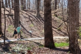 Accessible path added to Dunson Native Flora Garden at State Botanical Garden