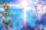 What is the 8-8-8 Lions Gate Portal of 2024?
