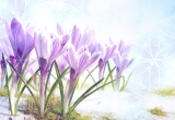 5 Spring Equinox Rituals – Celebrate the Start of Spring!