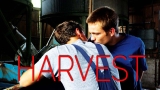 Harvest (2011): A Gay Coming-of-Age Wrapped in Realism