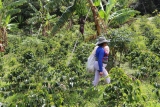 Un/repairing Through More-than-human Care in Latin America: Conversatorio – Engagement