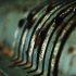 The comprehensive treatment process of secondary aluminum dross and economic benefit analysis