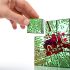 Sustainability on Amazon: Meeting Consumer Demands in 2025