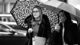 Danielle Sassoon’s American Bravery | The New Yorker