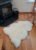 Lambland Hand Finished Quality British Sheepskin Rug in Natural Ivory