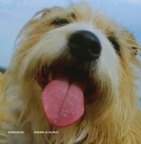 Songdog “Mirabilla Mundi” – Americana UK