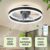 LED Ceiling Fan Light Dimmable Living Room Chandelier Lamp With Remote Control