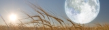 Harvest Moon Spiritual Meaning – Ask-Angels.com