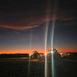 Taylor Farms acquires agricultural robots startup FarmWise