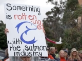 As election approaches, environment still being shunned by both parties