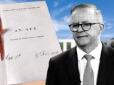 Republic should be top priority for Albanese re-election