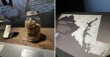 Baltimore museum exhibit tells the story of Maryland’s last recorded lynching victim