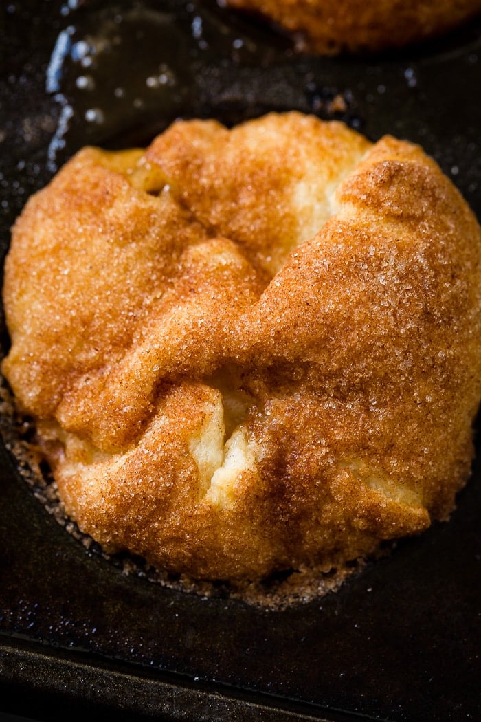 a close up of an apple pie empty tomb roll