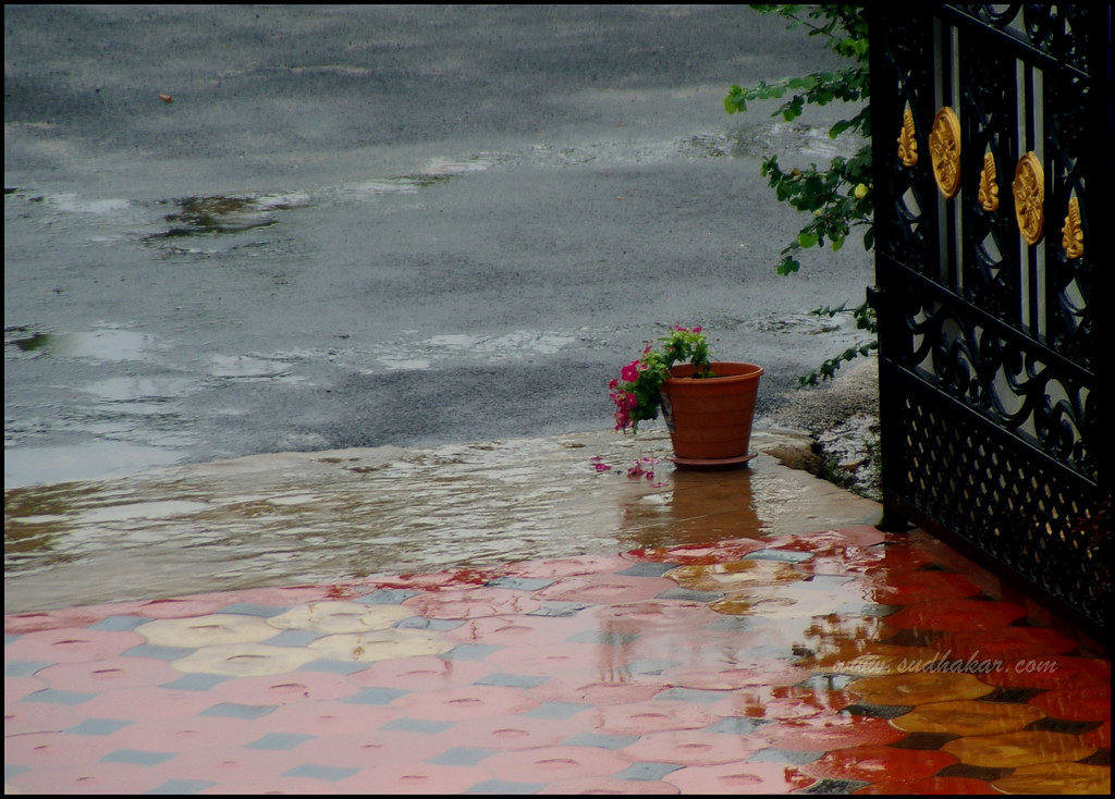 Monsoon Arrived ! | Monsoon arrived to Hyderabad and evening…