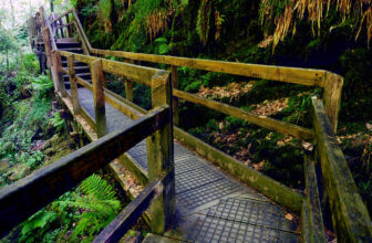 steps & fences