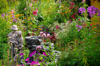 In the garden…