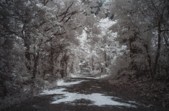 Ridge Road Infrared | Ridge Road in Moniteau County, Missour…