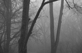 Foggy Day