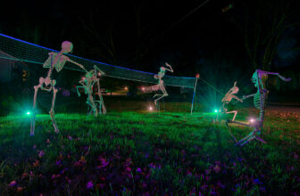 "Playing with the Dead Boys!"