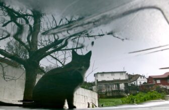 Rural Catable