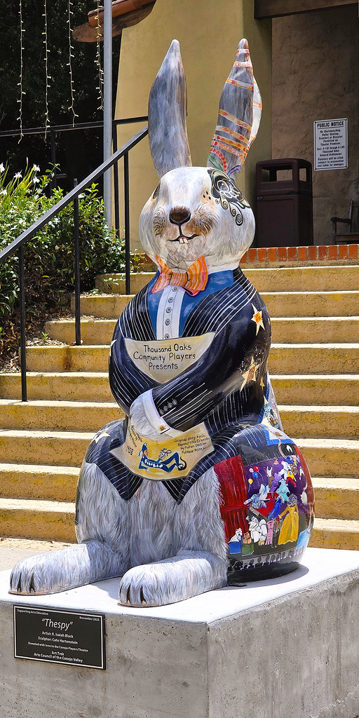 Thespy | This is one of the many ‘Conejo Cottontails” to be …