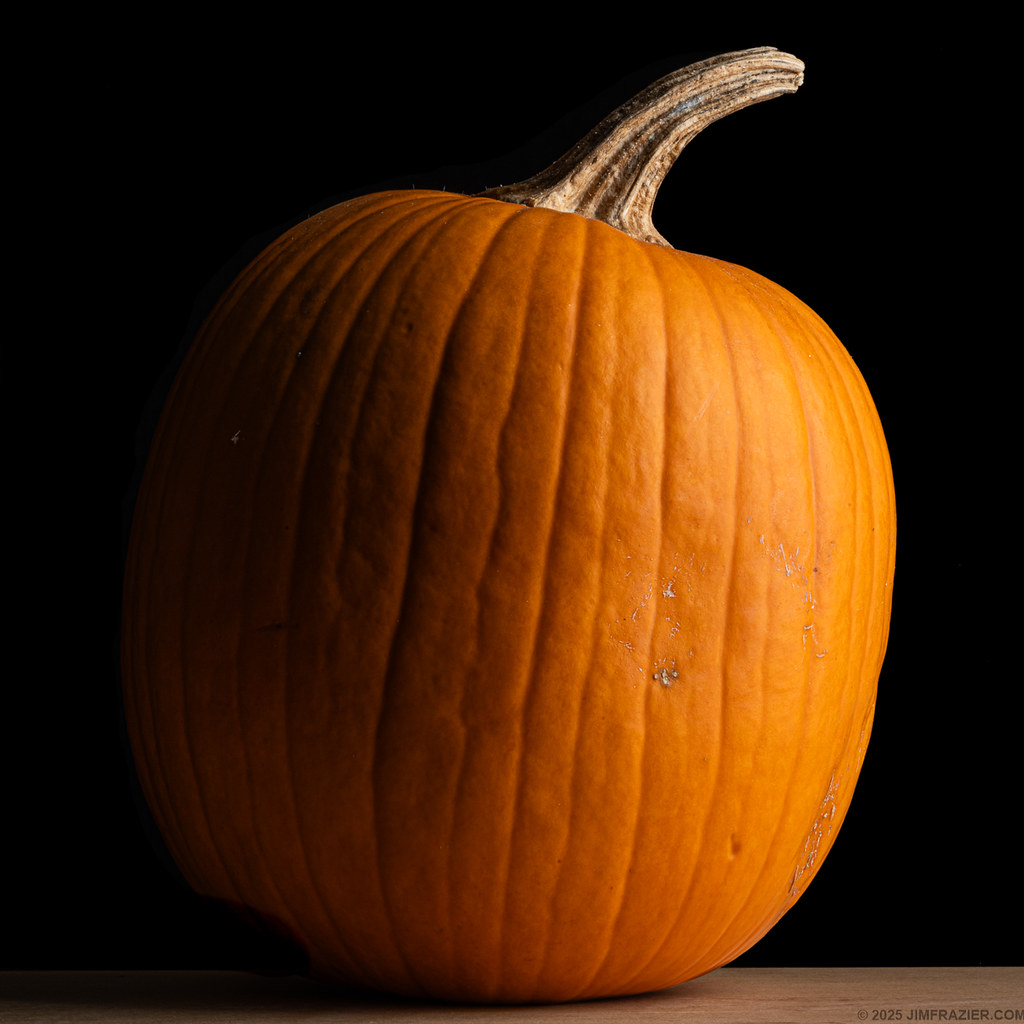 Winter Squash | The World Renowned Frazier Studio Elgin, Ill…