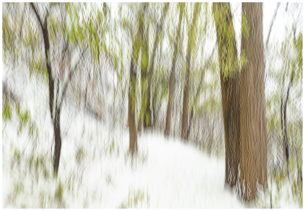 Autumn tremors / Tremblements d’automne