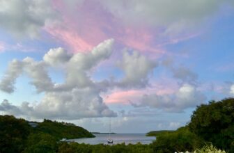 The clouds turned pink tonight