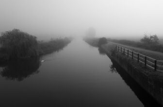 Misty morning