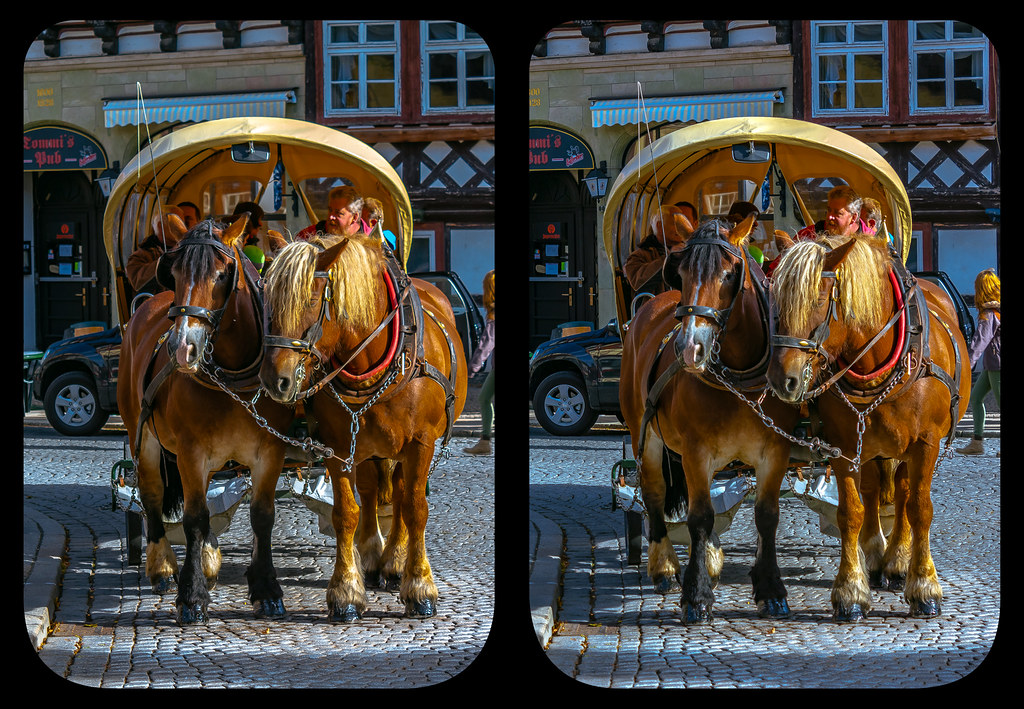 Horse-drawn carriage tour 3-D / CrossView / Stereoscopy