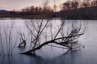 Frozen Biodiversum