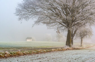 *The chapel in the winter fog*