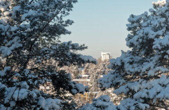 View through snowy trees